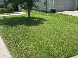 Jess G.'s lawn service service result