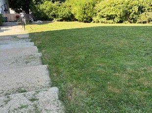 Victor P.'s turf maintenance service result