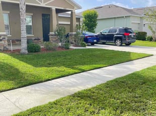 James H.'s grass maintenance service result