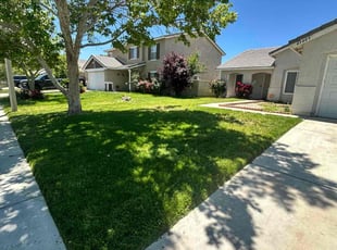 Elba S.'s yard care service result
