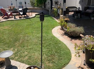 Zeandra H.'s landscaping services service result