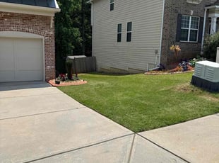 Barbara P.'s lawn care services service result