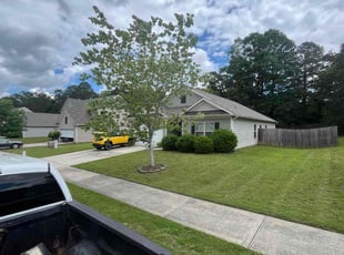 Susana G.'s turf care service result