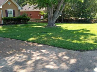 Jen D.'s lawn care services service result