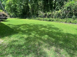 Joe S.'s grass maintenance service result