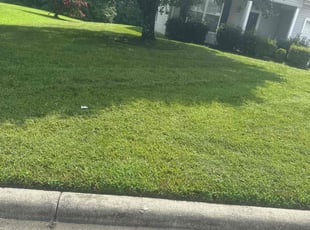 Louie D.'s turf maintenance service result
