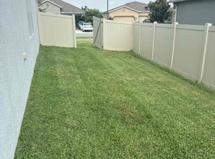 Steve S.'s grass maintenance service result