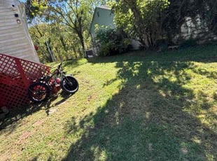 Kari W.'s grass cutting service result