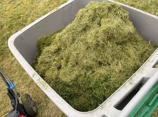 Dwain C.'s lawn care services service result