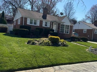 Camron D.'s lawn maintenance service result