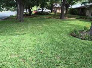 Tammy N.'s turf maintenance service result