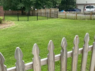 Lindsey T.'s lawn service service result