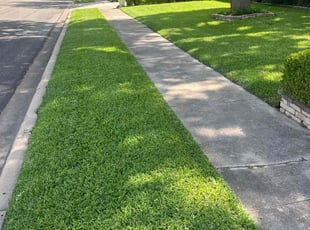 Fon G.'s lawn care service result