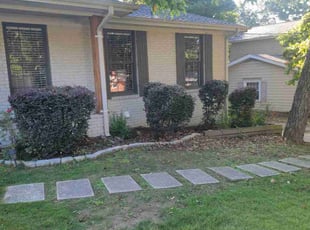 Shane G.'s Bush Trimming service result
