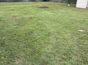 Brooke M.'s lawn maintenance service result