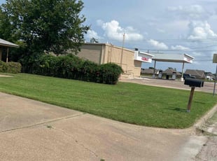 Gale M.'s turf care service result