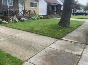 Christy C.'s turf care service result