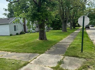 Jackie B.'s lawn care service result