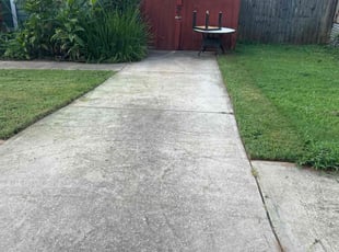 Saed A.'s grass maintenance service result