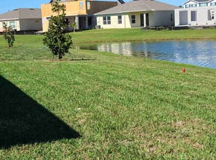 Krystal A.'s turf maintenance service result