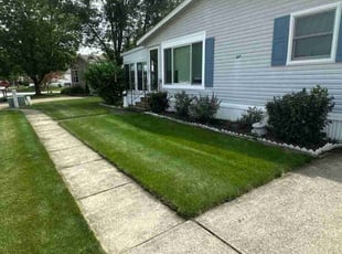 Jolene S.'s lawn care service result