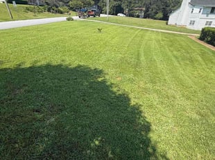 Leeanna G.'s turf maintenance service result