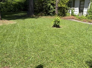Devon L.'s lawn care service result