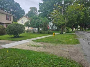 Chantal S.'s turf care service result