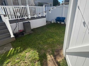 Velma S.'s turf care service result