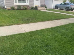 Linda R.'s grass cutting service result