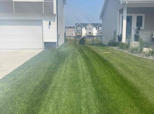 Marlow S.'s lawn maintenance service result