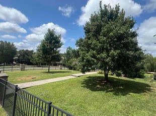Stan D.'s turf maintenance service result