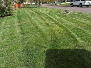 Vee M.'s lawn service service result