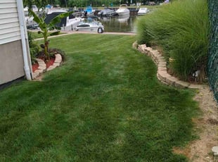 Brent H.'s turf maintenance service result