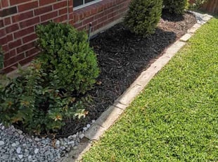 Sherry H.'s turf care service result