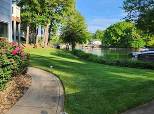 Pamela L.'s turf care service result
