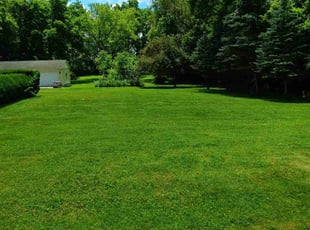Canan C.'s lawn care service result