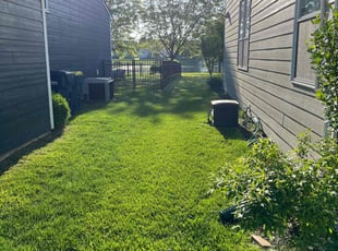 Austin B.'s lawn service service result