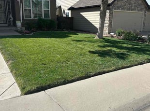 Jay K.'s lawn care service result