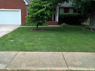 Carol C.'s grass maintenance service result
