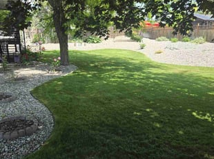 Bruce M.'s lawn care service result