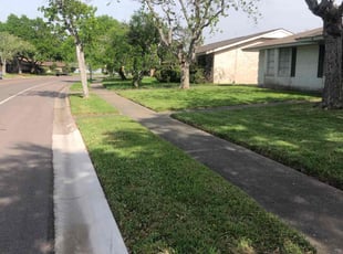 Wayne S.'s grass cutting service result