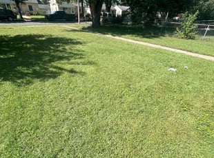 Tamiah R.'s lawn care services service result