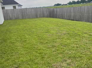 Tiffaney G.'s grass maintenance service result