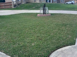 Amanda M.'s lawn care service result