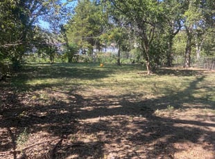 Dietra B.'s lawn maintenance service result