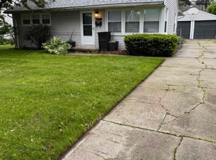 Michael A.'s grass maintenance service result