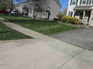 Jesse H.'s turf care service result