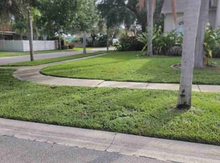 Bianca A.'s grass cutting service result