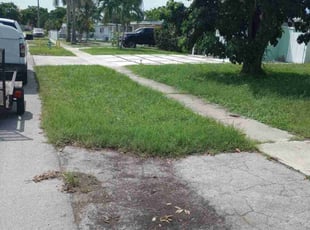 Farrah K.'s Long Grass Cleanup service result